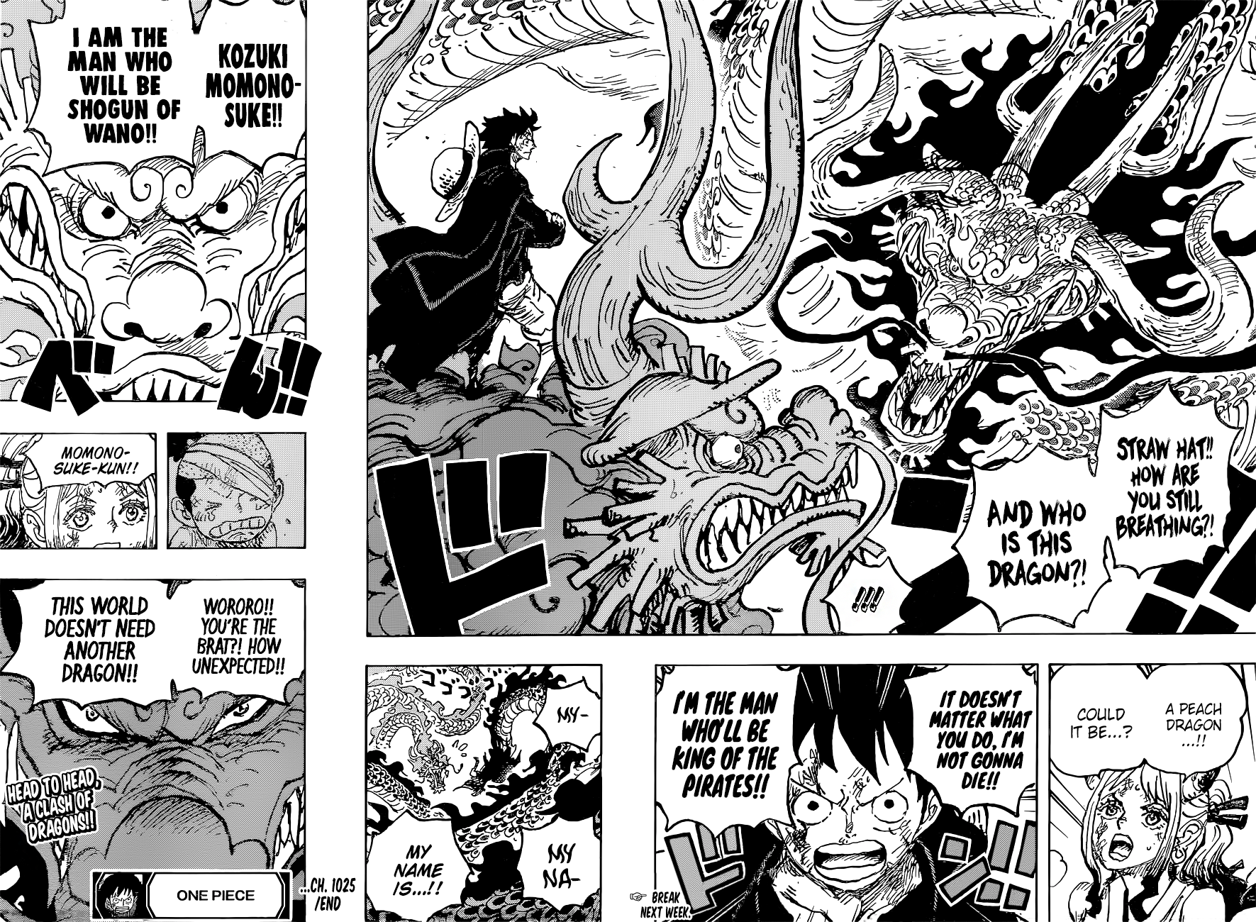 One PieceOne Piece, Chapter 1025 image 16
