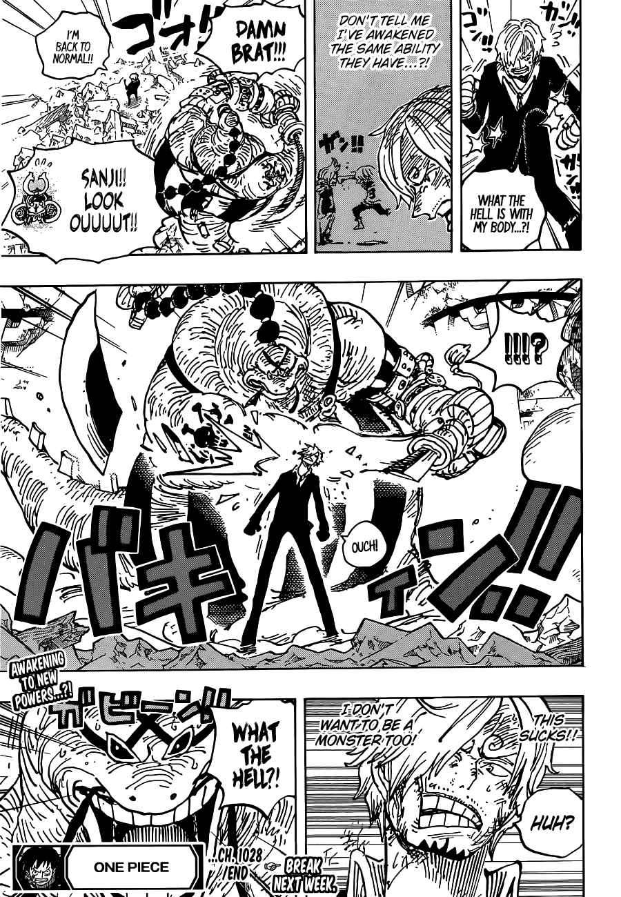 One PieceOne Piece, Chapter 1028 image 18