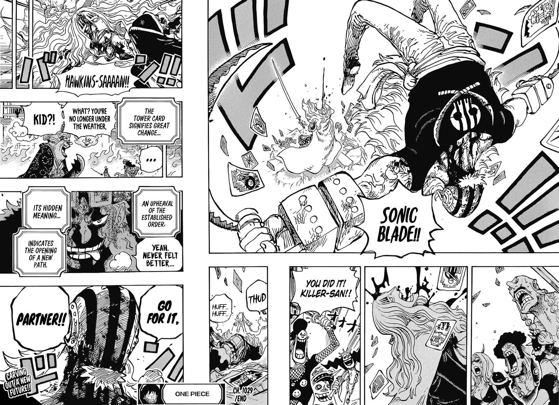 One PieceOne Piece, Chapter 1029 image 16