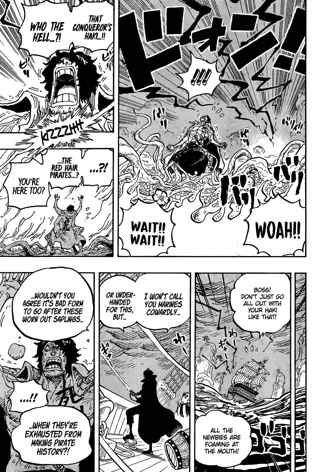 One PieceOne Piece, Chapter 1055 image 17