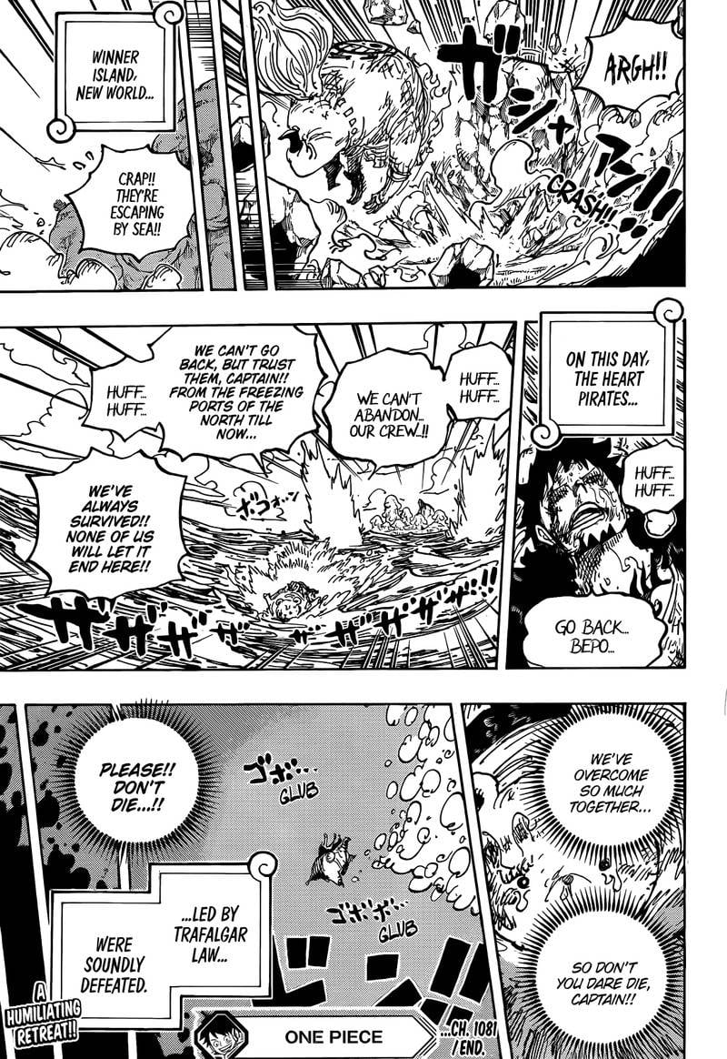 One PieceOne Piece, Chapter 1081 image 15