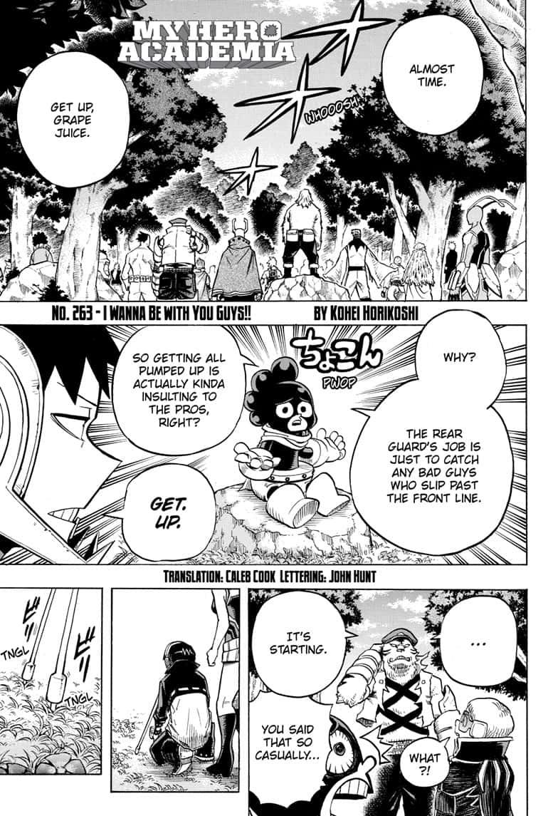 My Hero AcademiaMy Hero Academia, Chapter 263 image 01