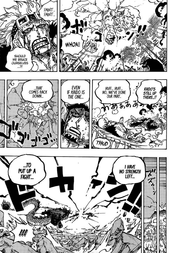One PieceOne Piece, Chapter 1041 image 14