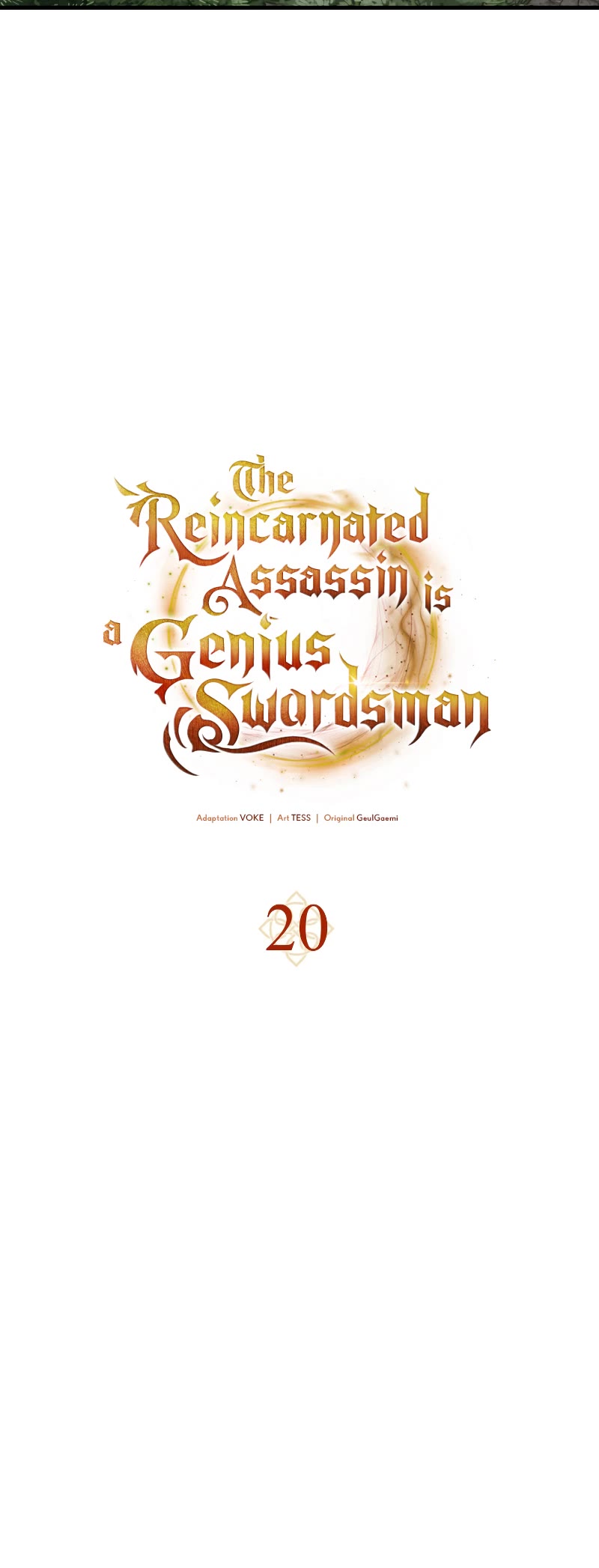 The Reincarnated Assassin is a Genius Swordsman, Chapter 20 image 26