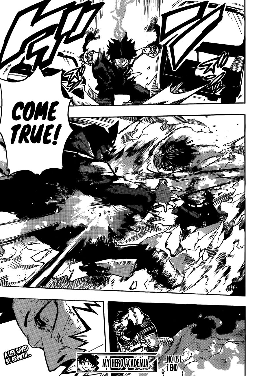 My Hero AcademiaMy Hero Academia, Chapter 251 image 14