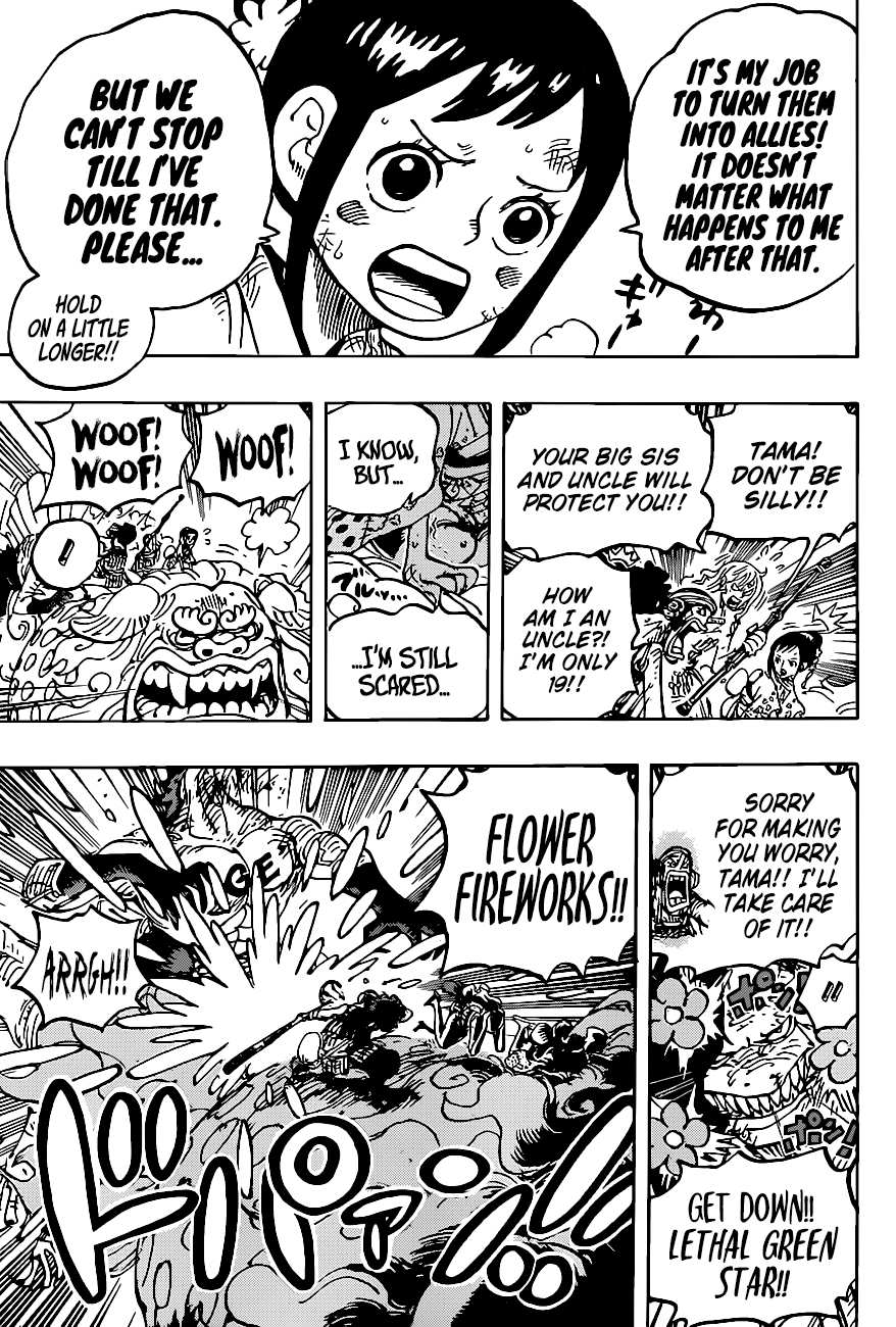 One PieceOne Piece, Chapter 1011 image 14