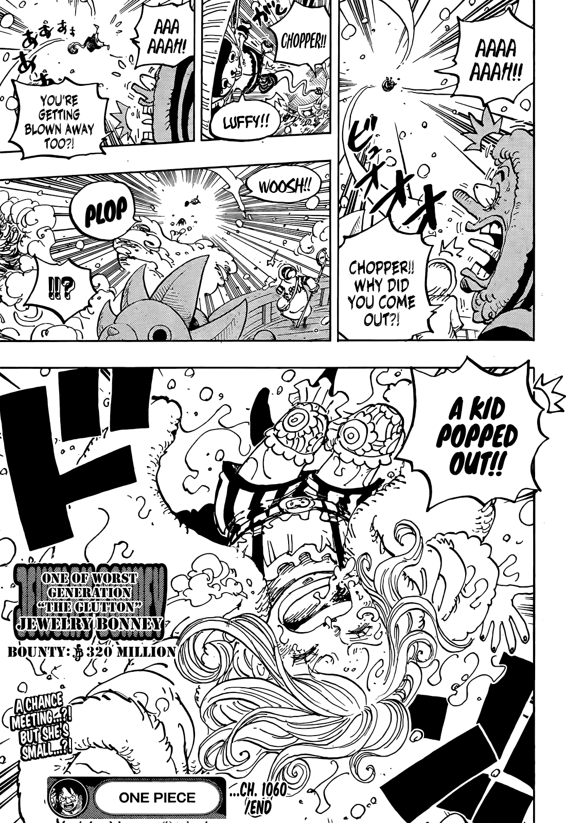 One PieceOne Piece, Chapter 1060 image 17