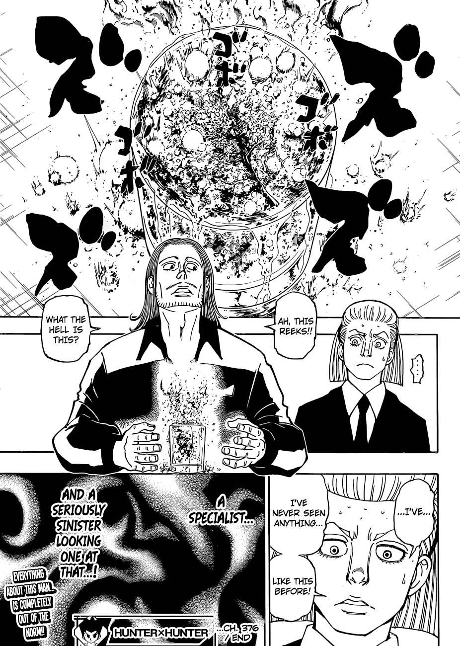 Hunter x Hunter, Chapter 376 image 21