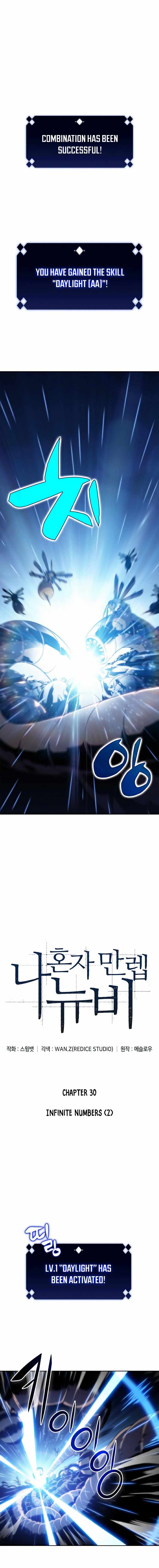 Solo Max-Level Newbie Chapter 30 image 02
