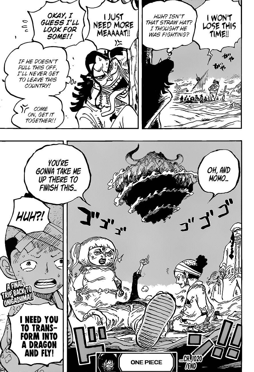 One PieceOne Piece, Chapter 1020 image 18