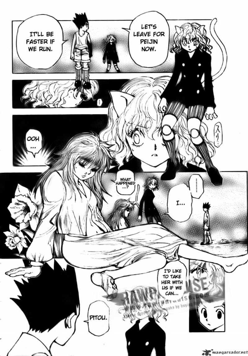 Hunter x Hunter, Chapter 300 image 12