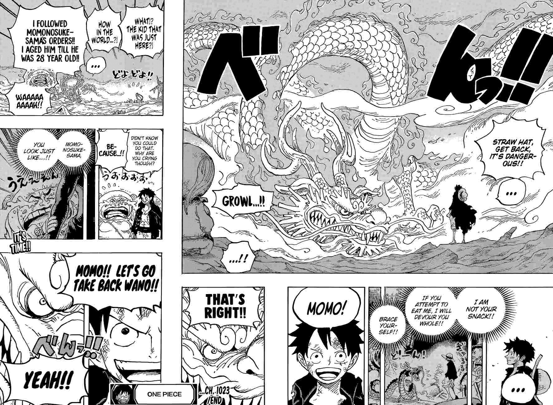 One PieceOne Piece, Chapter 1023 image 18