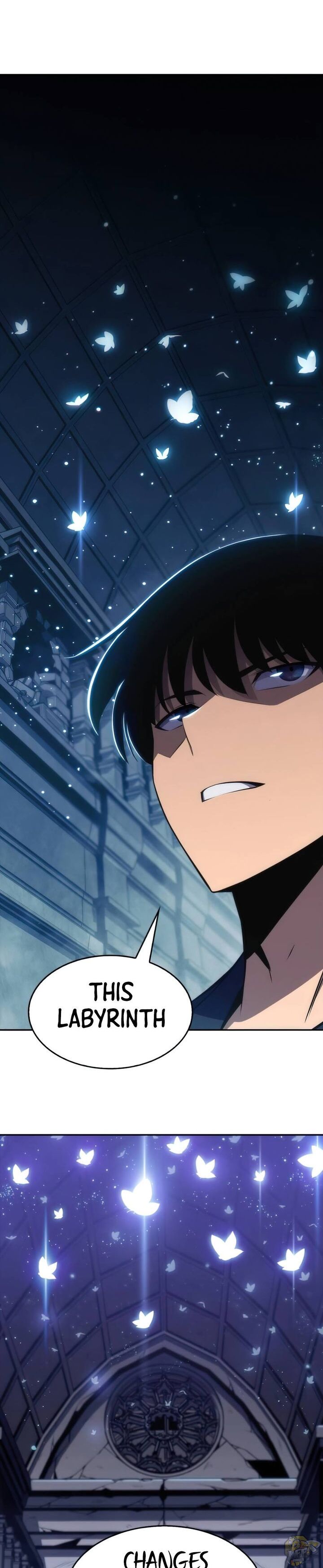 Solo Max-Level Newbie Chapter 10 image 11