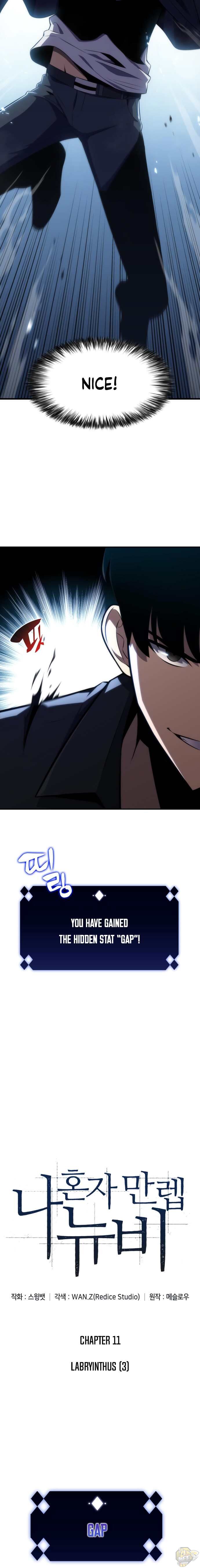 Solo Max-Level Newbie Chapter 11 image 02