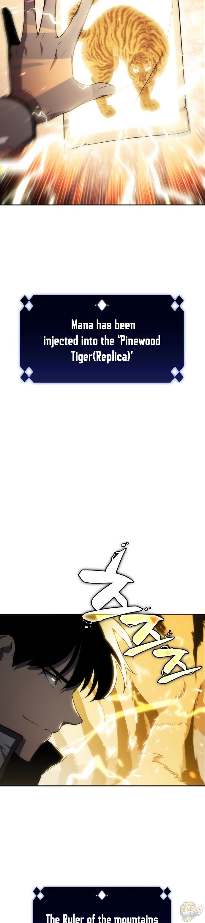 Solo Max-Level Newbie Chapter 6 image 13