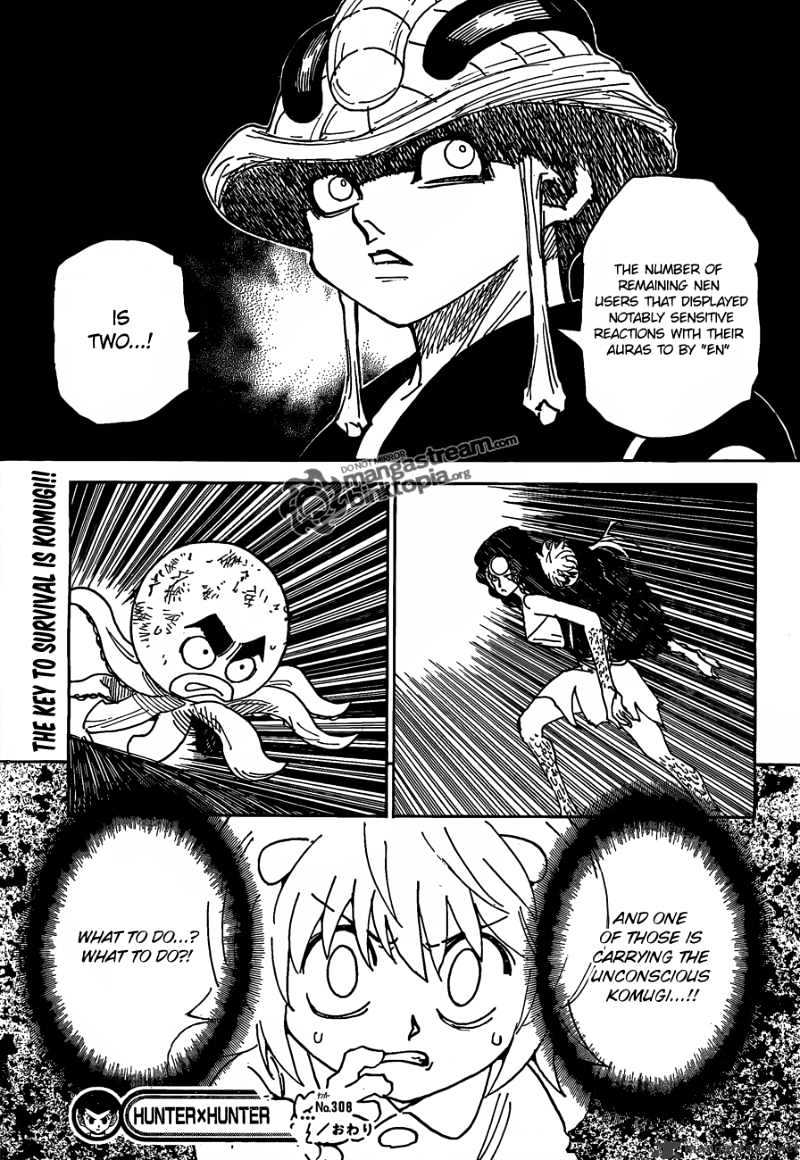 Hunter x Hunter, Chapter 308 image 17